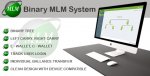 Скрипт бинарной системы Binary MLM