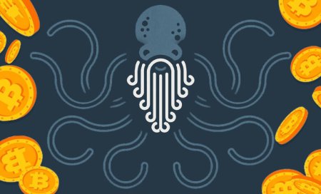 Биржа Kraken — обзор платформы и помощь в регистрации